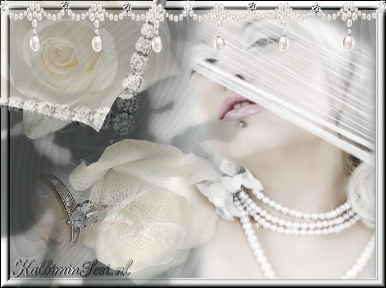 Schatz, willst Du mich heiraten? Ich liebe Dich!!!